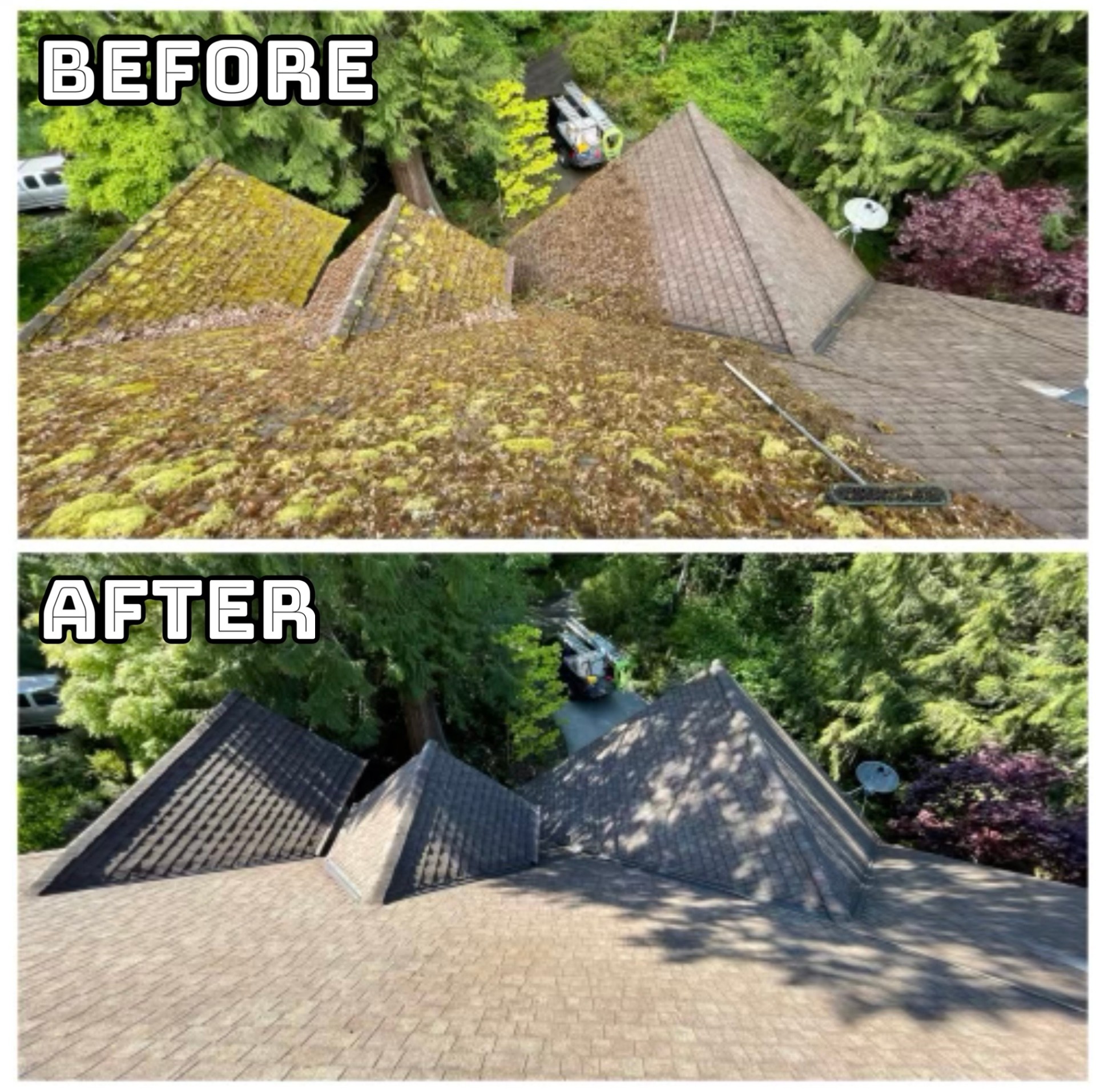 Professional roof cleaning before and after in Meridian Idaho